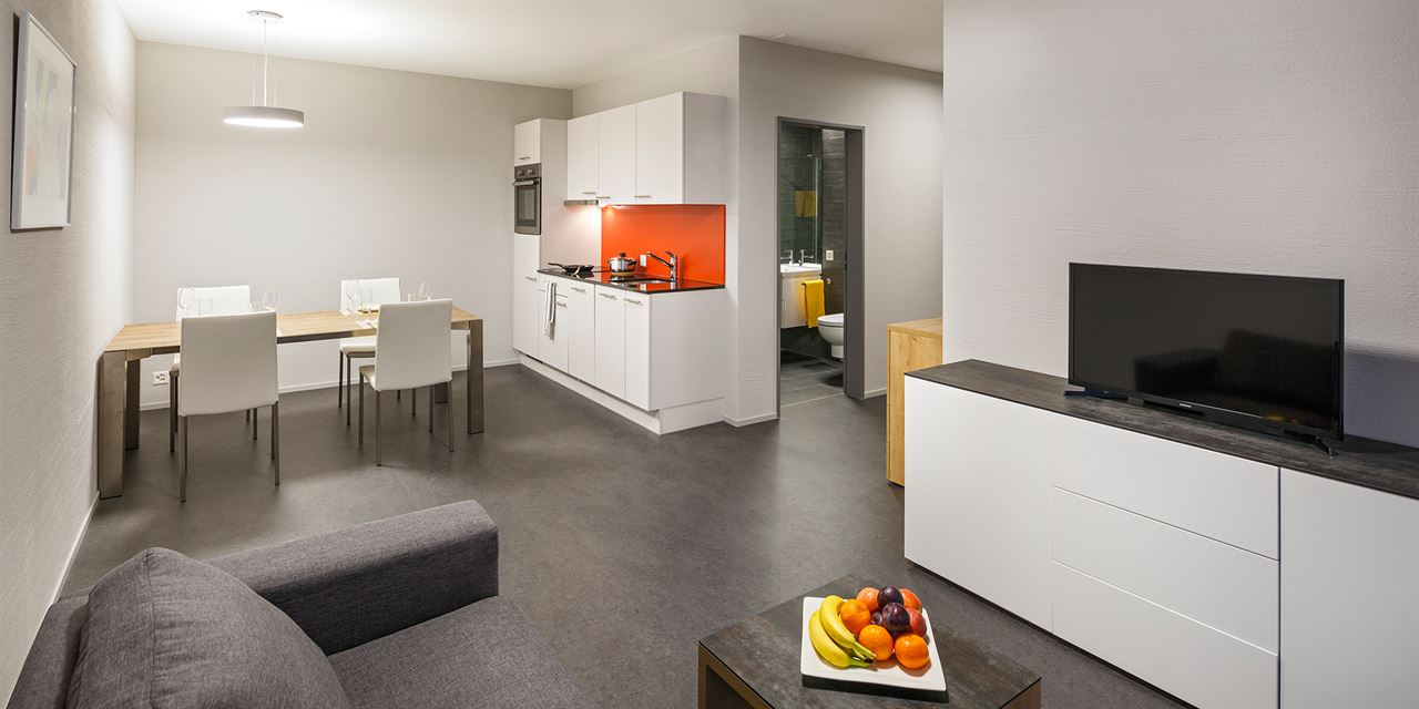 阿劳西瑞士品质公寓式酒店-Aparthotel aarau-WEST
