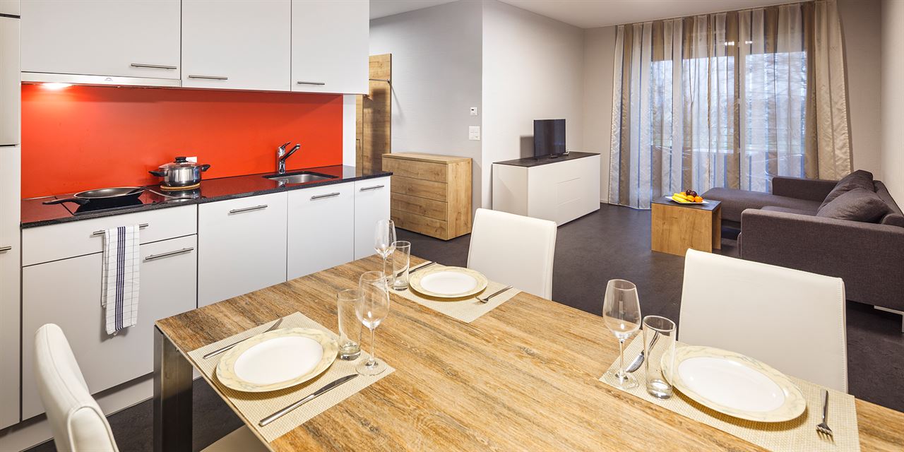 阿劳西瑞士品质公寓式酒店-Aparthotel aarau-WEST