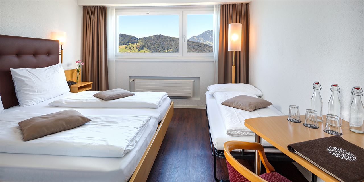 贝肯里德泽拉什瑞士品质酒店-Hotel Seerausch