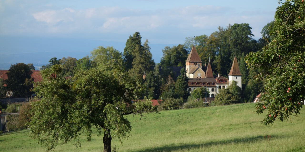 明兴维勒城堡瑞士品质酒店-Schloss Münchenwiler Swiss Quality Hotel