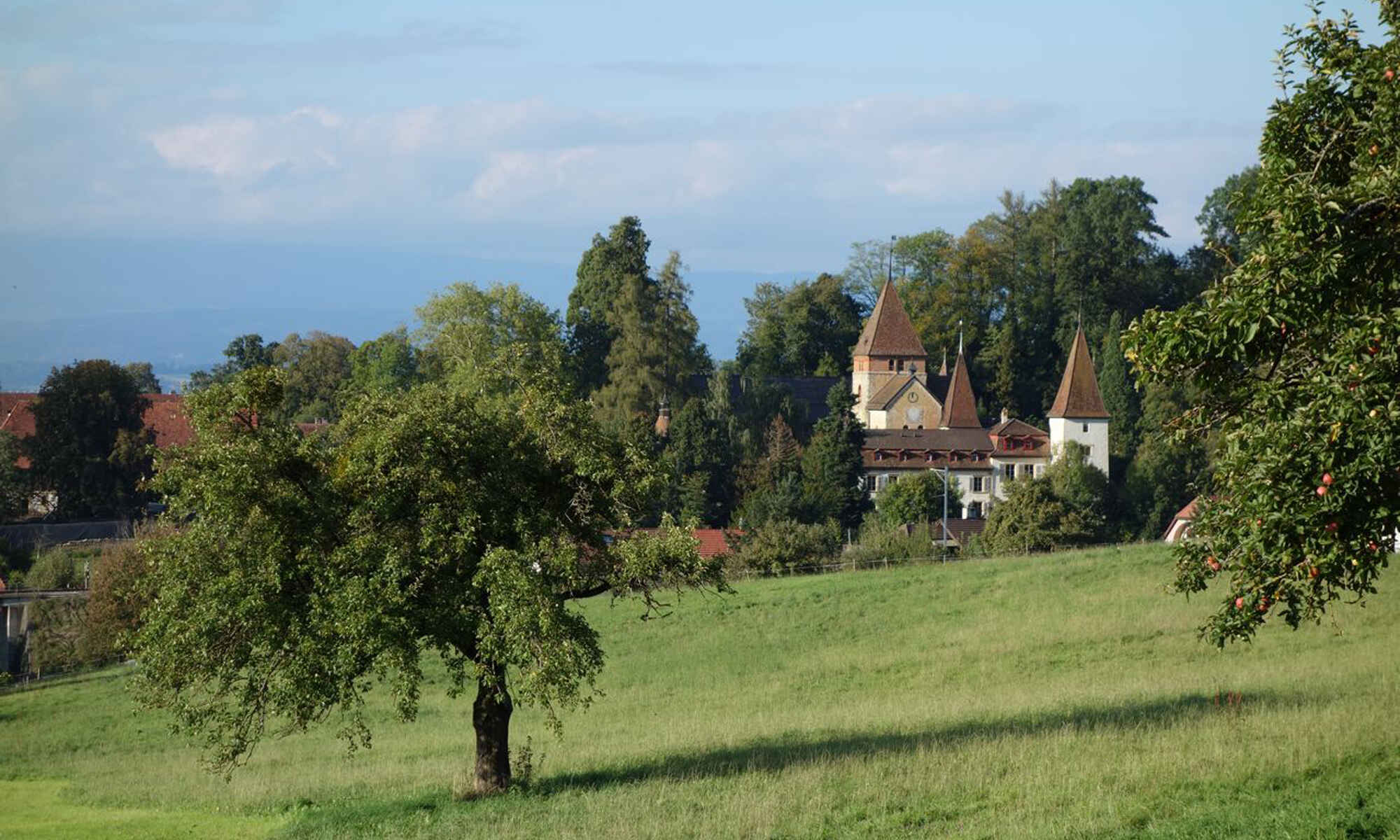 明兴维勒城堡瑞士品质酒店-Schloss Münchenwiler Swiss Quality Hotel